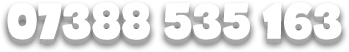 07388 535 163